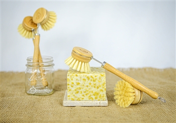 plastic-free dish brush