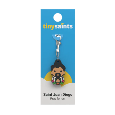 St. Juan DeigoTiny Saints