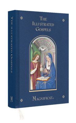 The Illustrated Gospels (Pocket Size Edition)