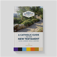 A Catholic Guide to the New Testament