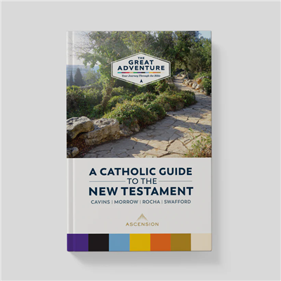 A Catholic Guide to the New Testament