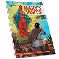 Mary's Visits Graphic Novel