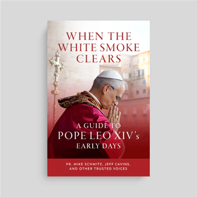 When the White Smoke Clears: A Guide to Pope Leo XIV's Early Days