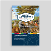 The Great Adventure Bible for Beginners