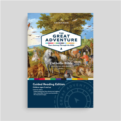 The Great Adventure Bible for Beginners