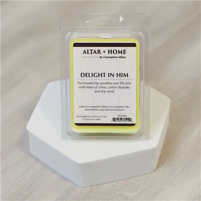 Delight in Him Wax Melts