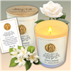 Our Lady of Guadalupe Scented Candle