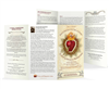 The Surrender Novena (Large Print)
