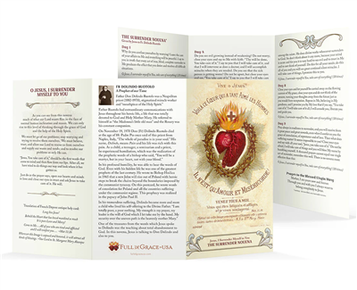 The Surrender Novena (Large Print)