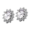 Classic Luxury Clear Crystal Earrings, Crystal Stud Earrings, Fashion Jewelry Earrings, Statement Earrings, Stud Earrings