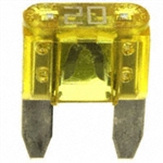 ATM 20 AMP FUSE