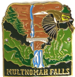 Waterfall Hiking Stick Medallion