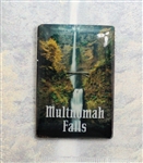 Multnomah Falls Photo Pin