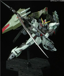 3RD PARY KITS ... GAT-X252 FORBIDDEN GUNDAM 1/100