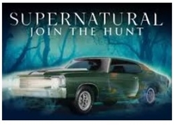 AMT ... 1972 CHEVY CHEVELLE 'SUPERNATURAL'  1/25