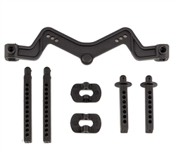ASSOCIATED ... DR10 BODY MOUNT AND POSTS