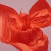 DARE DESIGN ... TISSUE MANDRIN RED 20" x 30" 3