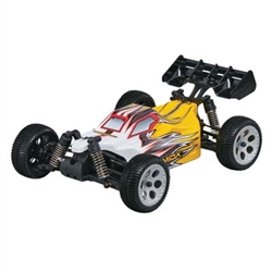 DROMIDA RC CAR ... BUGGY V2 2.4 RTR 1/18