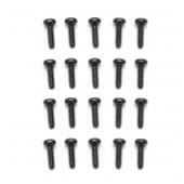 DUALSKY XH21014... HORNET PHILLIPS SCREW SET
