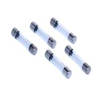 DYNAMITE 4001... FUSES 1.00 AMP (5)