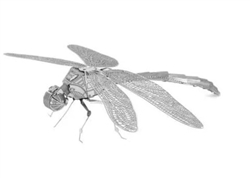 Fascinations Metal Earth ... METAL EARTH: DRAGONFLY