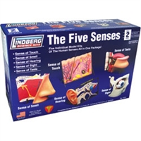LINDBERG PLASTICS 71315... FIVE SENSES MODEL KIT