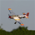 RAGE RC ... P-51D BL 500MM RTF WARBIRD