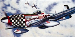REVELL ... P51D MUSTANG 1/48