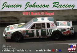 SALVINOS JR MODELS ... BUICK REGAL 1981  #11 WALTRIP MOUNTAIN DEW 1/24