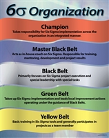 6 Sigma Organization Champion - Yellow