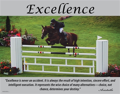Excellence Poster - Quote by Aristotle