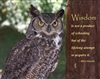 Wisdom - Motivational Poster - Owl