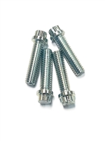 Zinc beadlock bolts.