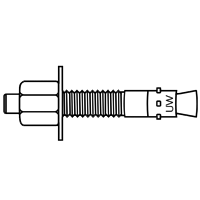 Wedge Anchor stainless steel