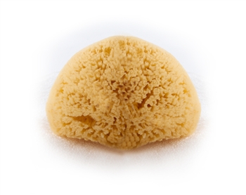 Sea Wool Natural Sea Sponge