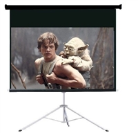 Pro 120" 16:9 Ratio Portable Tripod Projector Projection Screen Office Theater