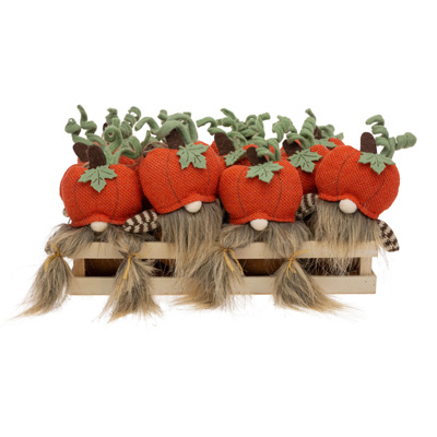 Pumpkin Head Gnomes Crate Set of 12