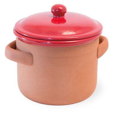 Red Cherry Terracotta Large Pot