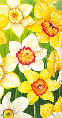 Daffodils Field Guest Towel