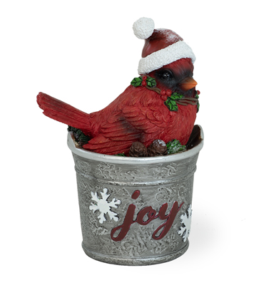 Joy Cardinal in Bucket