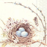 BIRDS NEST WITH EGGS