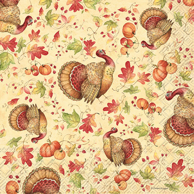 Turkey Toss Cocktail Napkin