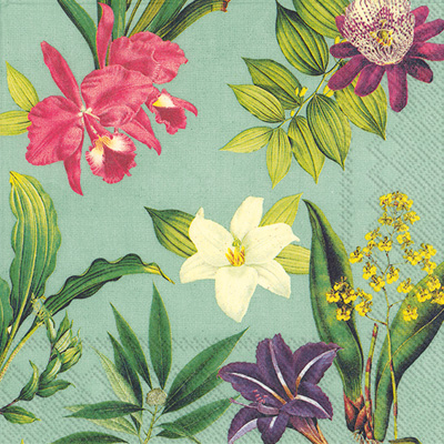 Flowers of Paradise Cocktail Napkin mint