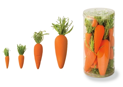 CARROTS SET