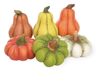 Pumpkin Patch Mini Pumpkins & Gourds Set