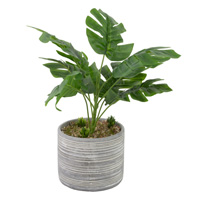 Palm Leaf Grey Pot