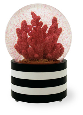 Caribbean Coral Snowglobe