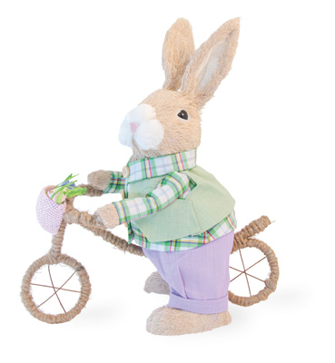 Bunny Hopper on Bike