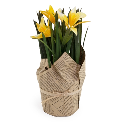 Large Daffodil Flower Stand