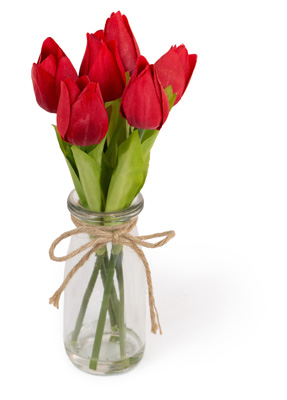 Red Tulips in Jar